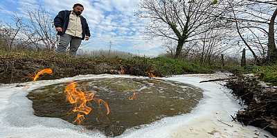 Düzce'de 