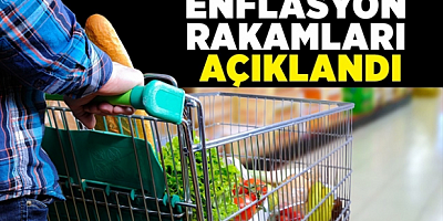 Enflasyon rakamları açıklandı