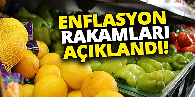 Enflasyon rakamları açıklandı
