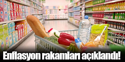 Enflasyon yüzde 4,81 artarak yıllık bazda yüzde 54,44 yükseldi