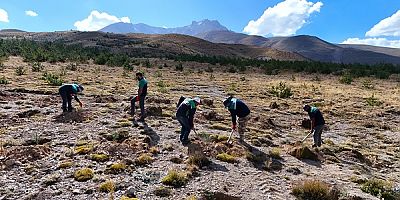 Erciyes’in Eteklerinde Yeşil Seferberlik