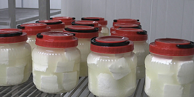 Erciyes Üniversitesinde işlenen sütlerle üretime katkı sağlanıyor