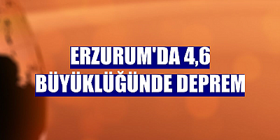 Erzurum'da 4,6 büyüklüğünde deprem