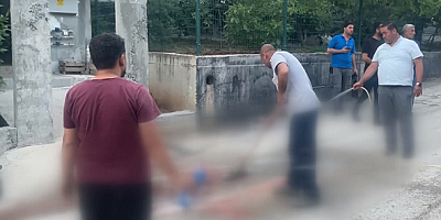 Eşini silahla öldüren zanlı, iki kayınbiraderini ve halasını yaraladı