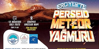 Gökyüzü Tutkunları Perseid Meteor Yağmuru İçin Zirvede Buluşuyor