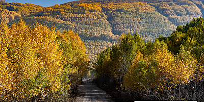Hacılar'daki Ortaseki Ormanlarını görmeyen kalmamalı