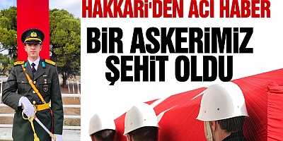 Hakkari'de bir Teğmen şehit oldu