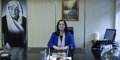 Hamileliğin son 3 ayındaki 