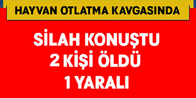 Hayvan otlatma kavgasında 2 kişi öldü, 1 kişi yaralandı