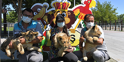 Hayvanat Bahçesi Bayram'da Ücretsiz