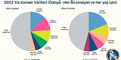 Her 5 ölümden biri kanser nedeniyle gerçekleşiyor