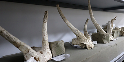 İç Anadolu'daki medeniyetlerin izleri kazılarla gün yüzüne çıkarılıyor