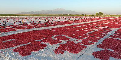 İl Tarım ve Orman Müdürü Şahin, Yeşilhisar'daki domates kurutma alanını inceledi