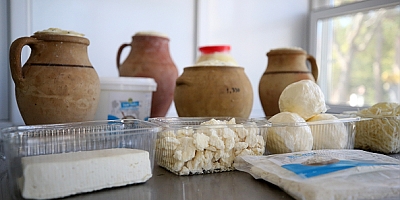 İlçede süt işleme tesisi kuran Birlik ayda 12 milyon lira ciroya ulaştı