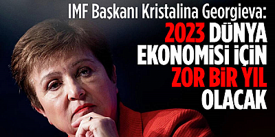 IMF Başkanı : 2023 dünya ekonomisi için zor bir yıl olacak