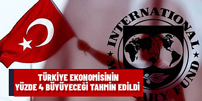 IMF Türkiye ekonomisine ilişkin büyüme tahminlerini yükseltti