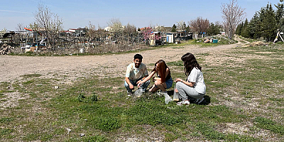 Kampüsün simgesi ‘Gelengiler’ için Uyanma Zamanı