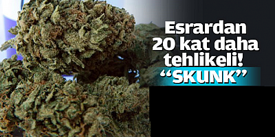 Kamyonda 64 kilogram skunk ele geçirildi