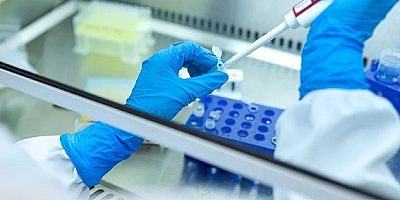 Kanser tarama yöntemleri tedavide başarı şansını arttırıyor