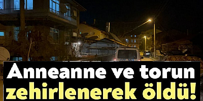 Karbonmonoksitten zehirlenen anneanne ile torunu öldü