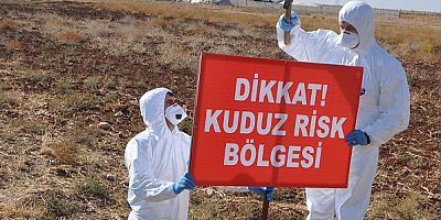 Kars'ta bir köy kuduz nedeniyle karantinaya alındı