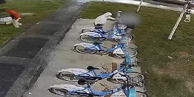 Kaybis'e Vandalizm Uyarısı