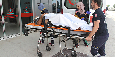 Kayısı ağacından düşen kişi yaralandı
