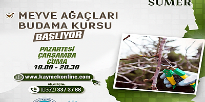 Kayseri Büyükşehir Belediyesi vatandaşlara meyve ağaçları budama kursu düzenliyor