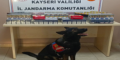 Kayseri'de 1000 paket kaçak sigara ele geçirildi