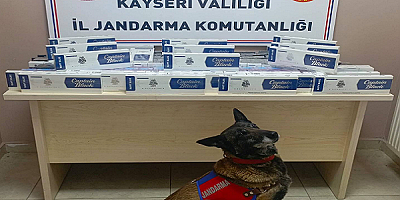 Kayseri'de 1400 paket kaçak sigara elegeçirildi