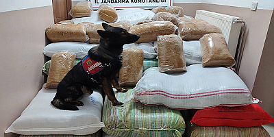 Kayseri'de 1500 kg kaçak tütün elegeçirildi