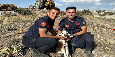 Kayseri'de 2,5 Saatlik 'Kuzu Kurtarma' Çalışması