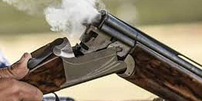 Kayseri'de 2 köpeği tüfekle vuran zanlı yakalandı