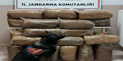 Kayseri'de 228 kg bandrolsüz kıyılmış tütün ele geçirildi
