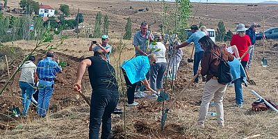 Kayseri'de 230 Bin Fidan Toprakla Buluşacak