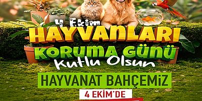 Kayseri'de 4 Ekim'de hayvanat bahçesi ücretsiz 