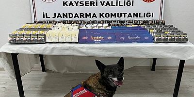 Kayseri'de 500 paket kaçak sigara ele geçirildi