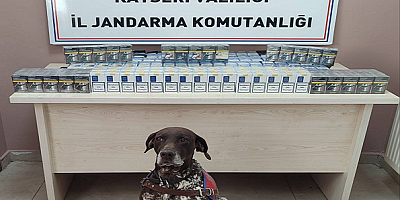 Kayseri'de 640 paket kaçak sigara ele geçirildi