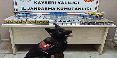 Kayseri'de 670 paket kaçak sigara ele geçirdi