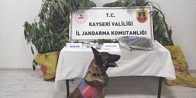 Kayseri'de 7 kök kenevir ve 550 gram uyuşturucu madde ele geçirildi