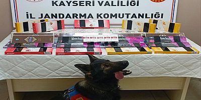 Kayseri'de 700 paket kaçak sigara elegeçirildi