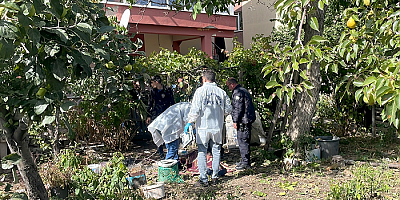 Kayseri'de ağaçtan düşen kişi hayatını kaybetti