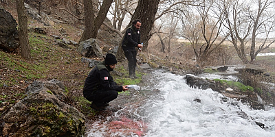 Kayseri'de Ağcaşar Baraj Gölü'nde toplu balık ölümleri iddiası