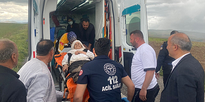 Kayseri'de arazide ot toplarken kaybolan kadın 3 gün sonra bulundu
