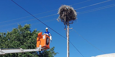 Kayseri'de ayağına ip dolanan leylek yavrusu kurtarıldı