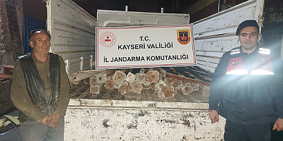 Kayseri'de bağ evinden hırsızlık yaptıkları iddiasıyla 2 şüpheli yakalandı