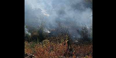 Kayseri'de bahçede çıkan yangın söndürüldü