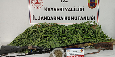Kayseri'de bahçesinde kenevir yetiştiren şüpheli gözaltına alındı