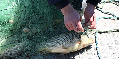 Kayseri'de balık avı yasağına uymayanlara 22 bin 180 lira ceza