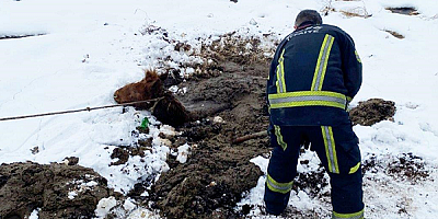 Kayseri'de bataklığa saplanan Yılkı Atı itfaiye ekipleri tarafından kurtarıldı